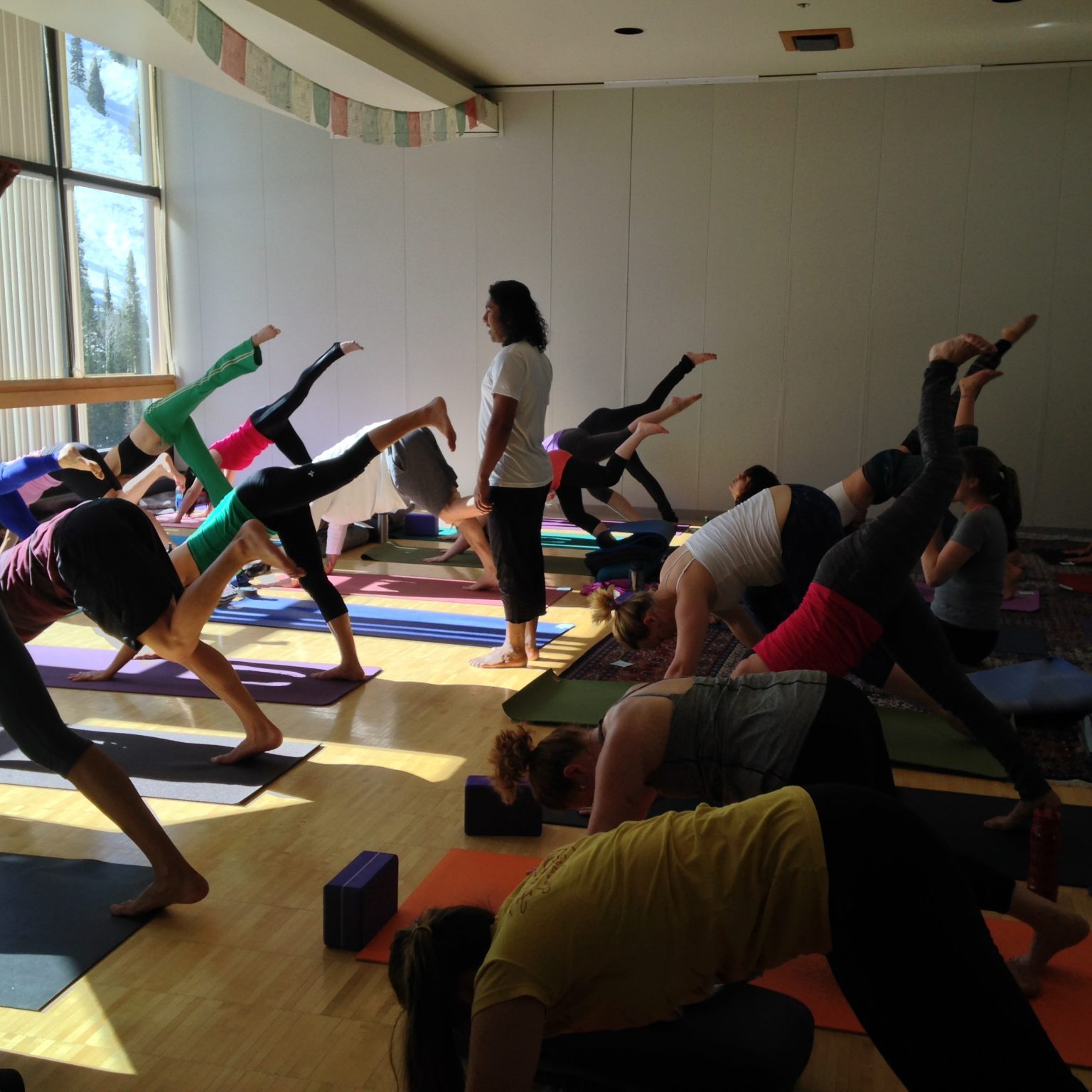 Group of people taking yoga training sessions | Santosh Yoga Institute in Salt Lake City, UT
