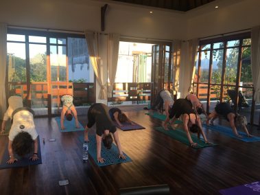 Group of people practicing yoga | Santosh Yoga Institute in Salt Lake City, UT