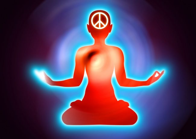 Yoga Vector | Santosh Yoga Institute in Salt Lake City, UT