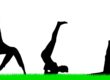 Different type yoga vector photo in Salt Lake City, UT | Santosh Yoga Institute