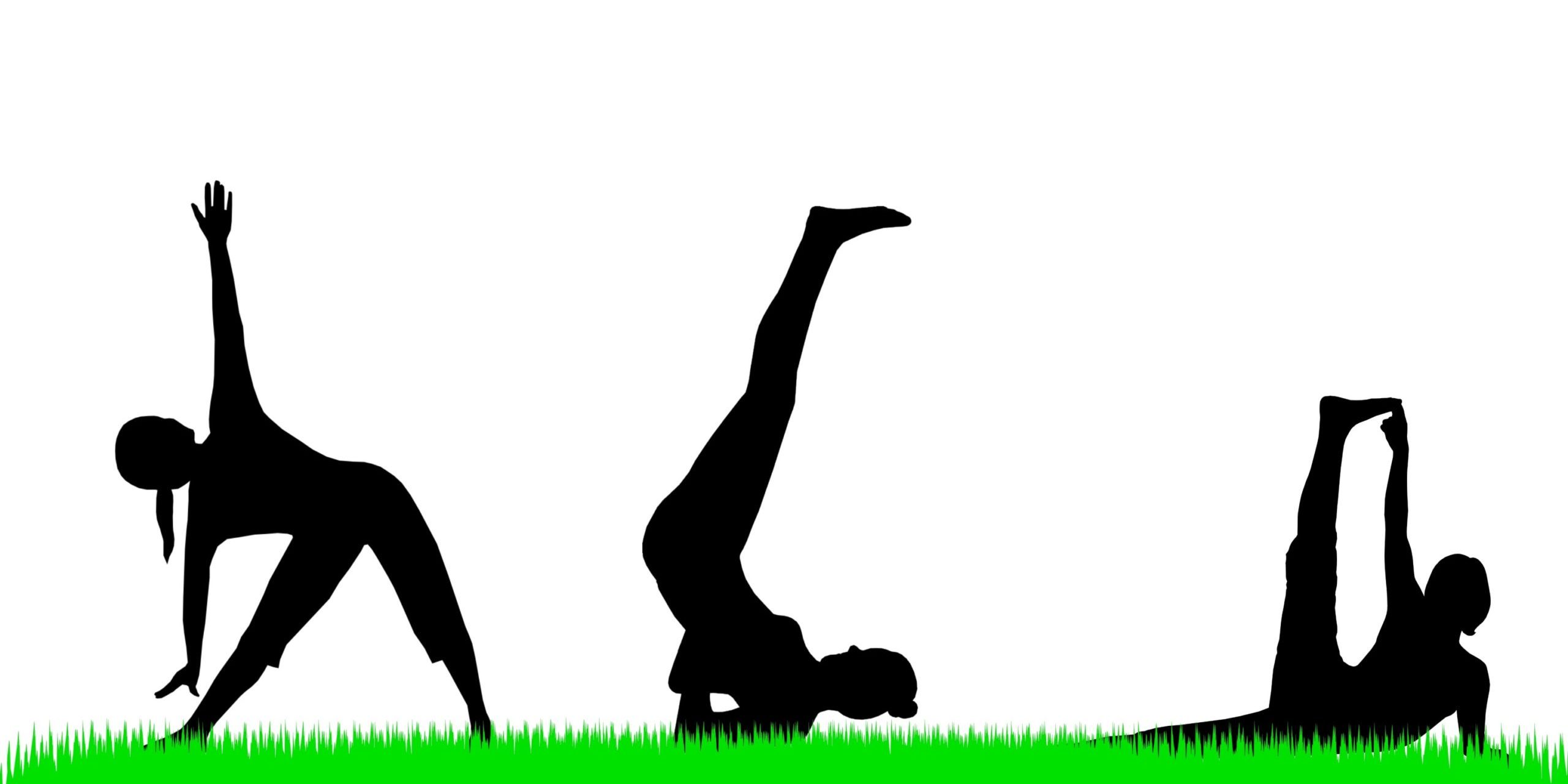 Different type yoga vector photo in Salt Lake City, UT | Santosh Yoga Institute