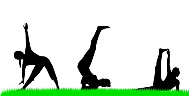 Different type yoga vector photo in Salt Lake City, UT | Santosh Yoga Institute