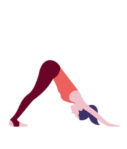 Adho Mukha Svanasana