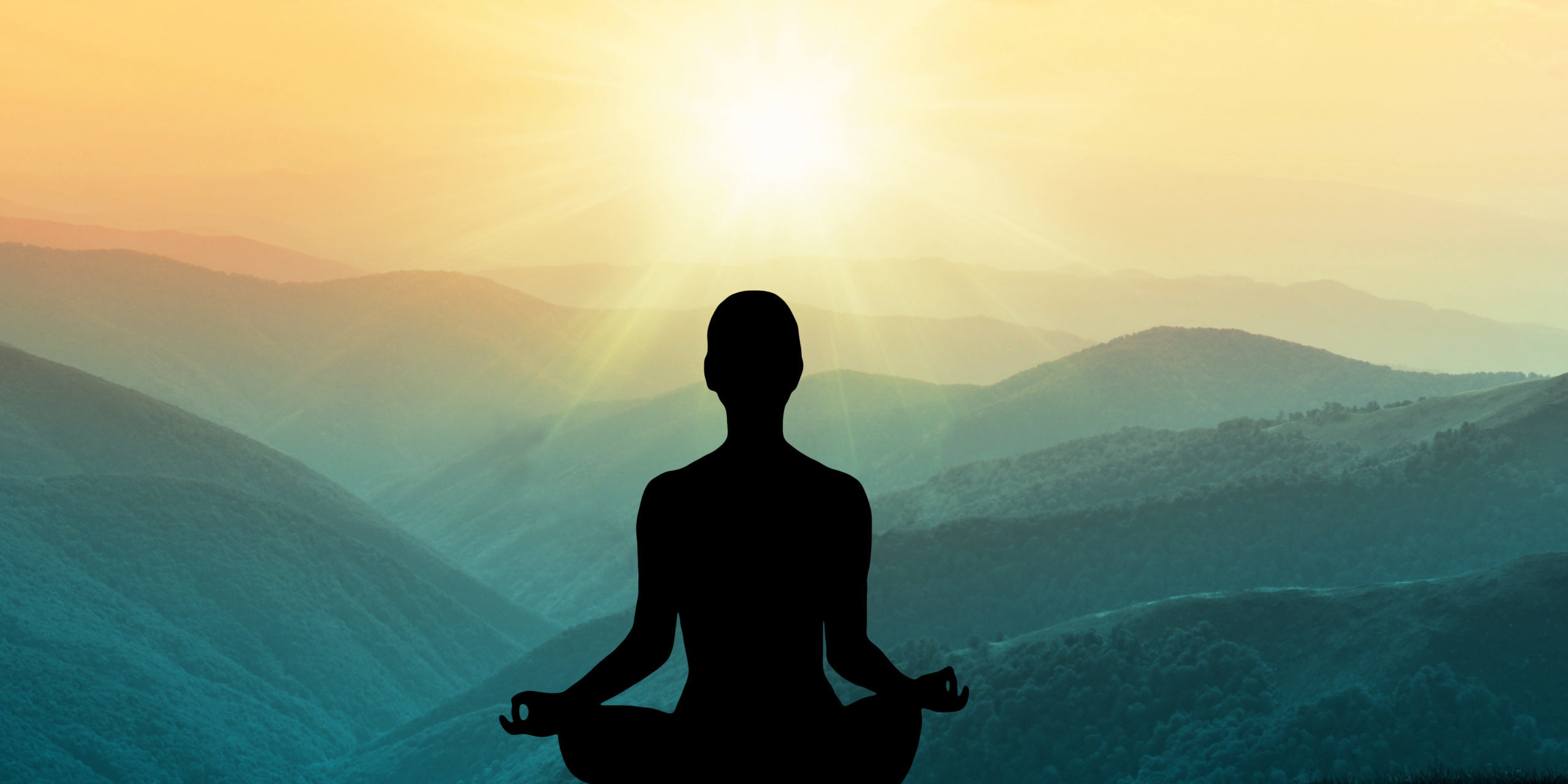 Beautiful Yoga Vector in Salt Lake City, UT | Santosh Yoga Institute