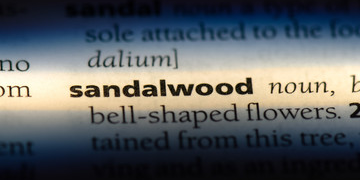 Highlighted Sandalwood Text in Salt Lake City, UT | Santosh Yoga Institute