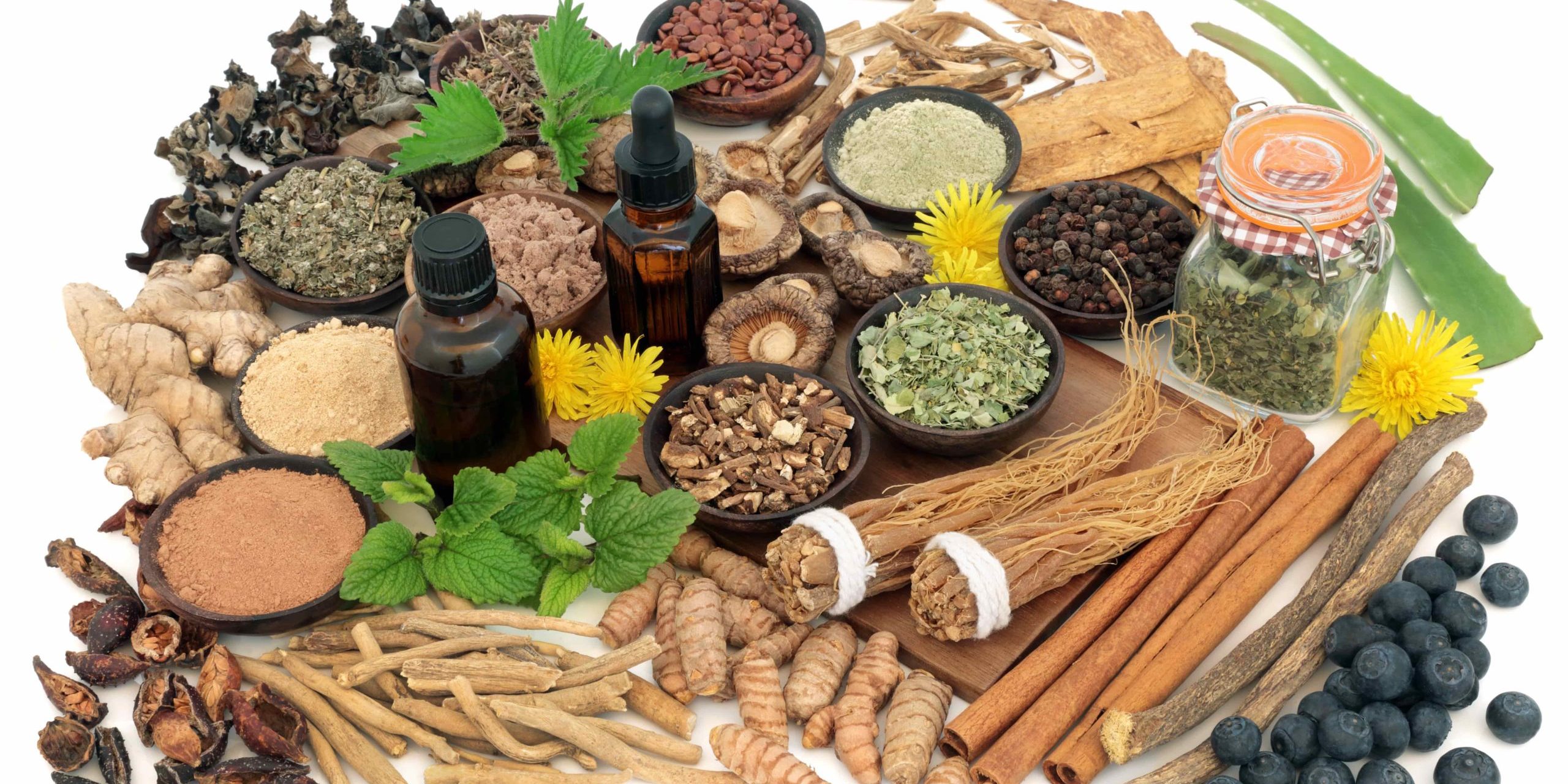Powerful Ayurvedic Herbs in Salt Lake City, UT | Santosh Yoga Institute