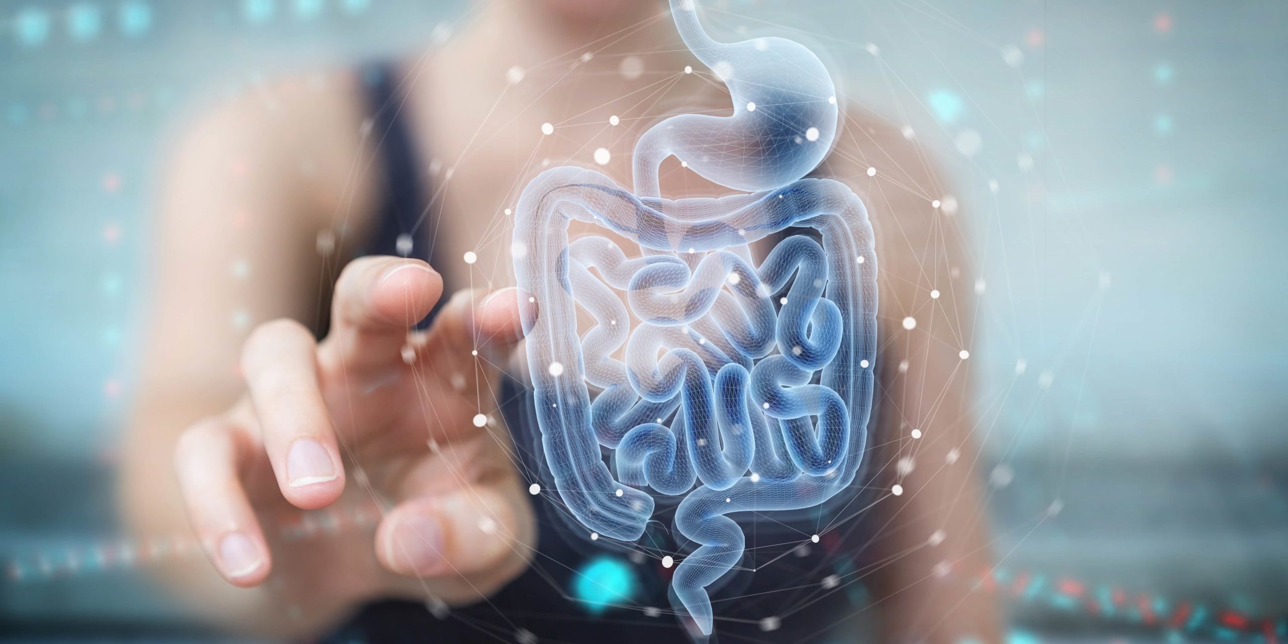 Woman pointing finger on Human Digestive System Picture in Salt Lake City, UT | Santosh Yoga Institute