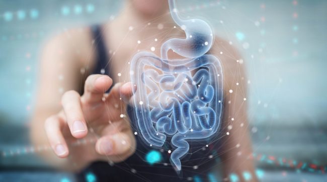 Woman pointing finger on Human Digestive System Picture in Salt Lake City, UT | Santosh Yoga Institute