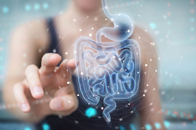 Woman pointing finger on Human Digestive System Picture in Salt Lake City, UT | Santosh Yoga Institute