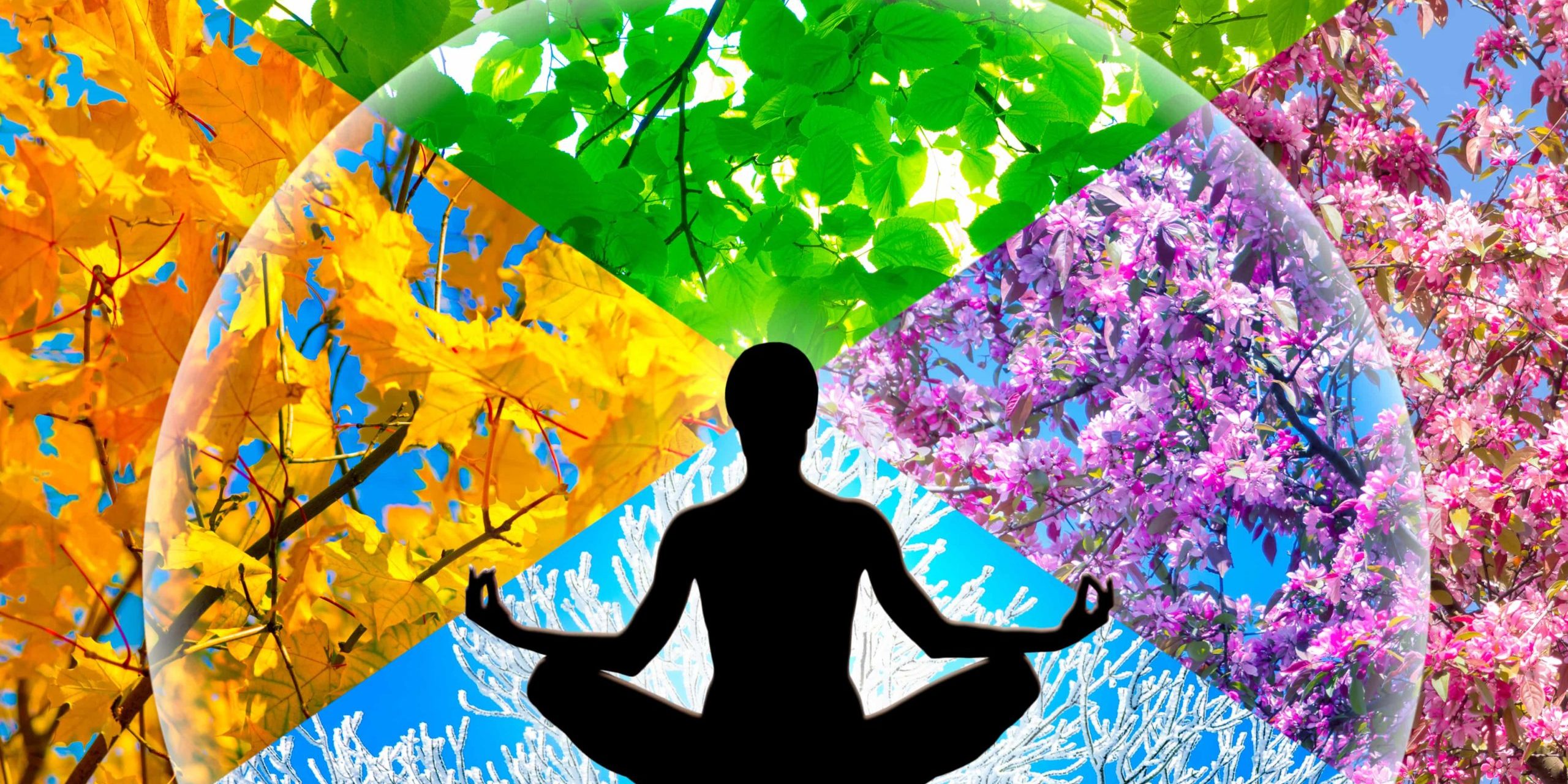 Beautiful Yoga Vector in Salt Lake City, UT | Santosh Yoga Institute
