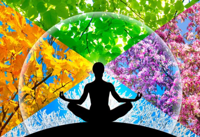 Beautiful Yoga Vector in Salt Lake City, UT | Santosh Yoga Institute