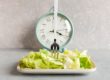Cabbage on a plate with a fork in Salt Lake City, UT | Santosh Yoga Institute