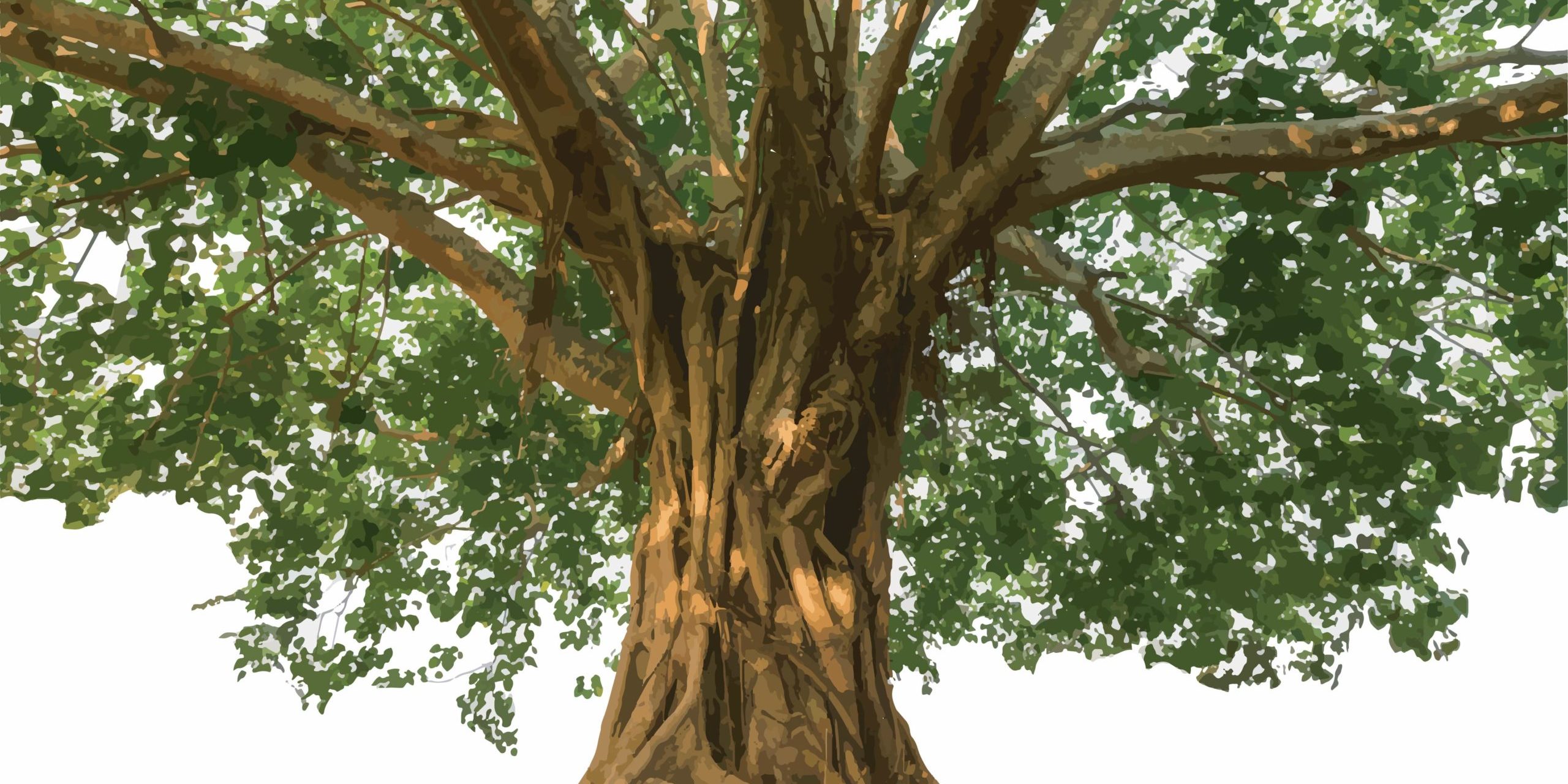 The Peepal Tree in Salt Lake City, UT | Santosh Yoga Institute
