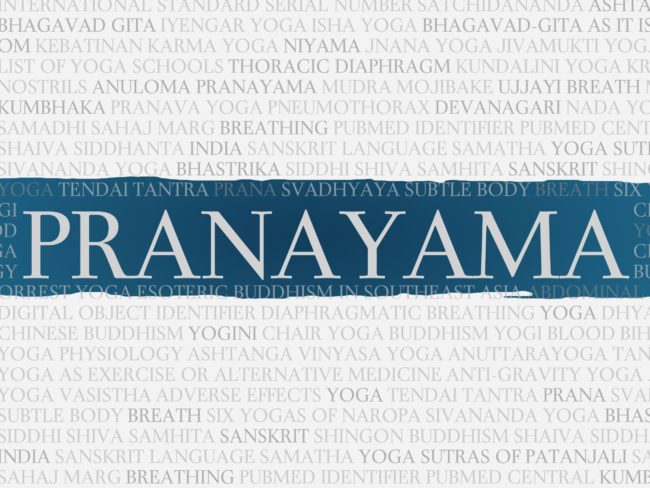 Highlited Pranayama Text in Salt Lake City, UT | Santosh Yoga Institute