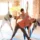Best Yoga Teacher Training Program by Santosh Yoga Institute